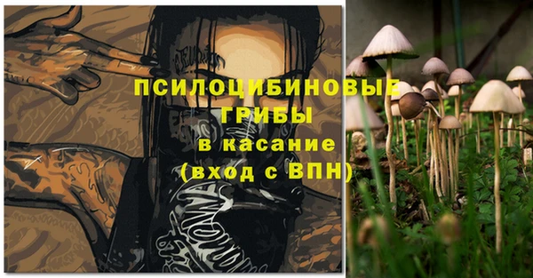 гашиш Богородицк