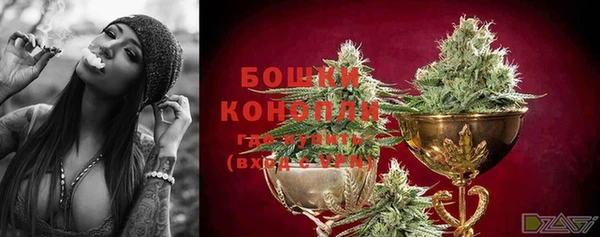 PSILOCYBIN Балабаново