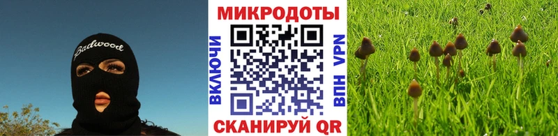 Псилоцибиновые грибы MAGIC MUSHROOMS  Бугуруслан 